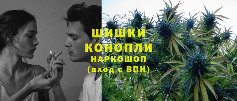 Бошки марихуана Bruce Banner  Уяр 